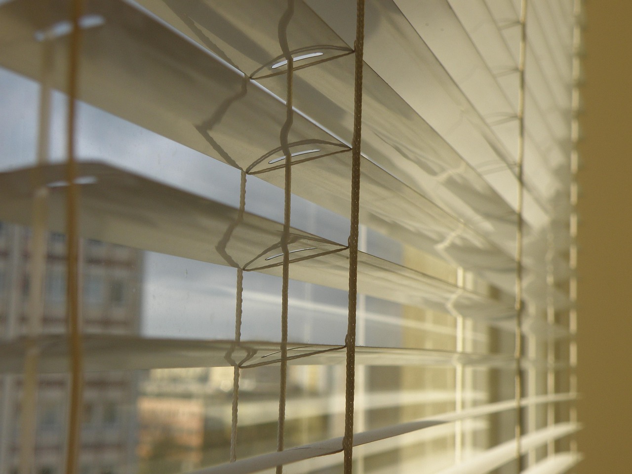 Pleated Blinds